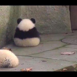 Meet your Posher, Angelina